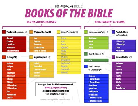 Books Of The Bible Not So Boring Bible