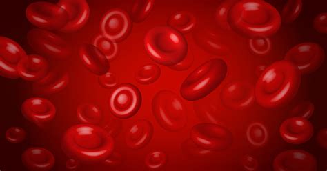 Red Blood Cell Count Overview Symptoms Optimists Healthcare India