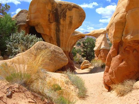 Tree view | thumbnails | slideshow. Devils Garden..Escalante | Wonderful places, Natural ...