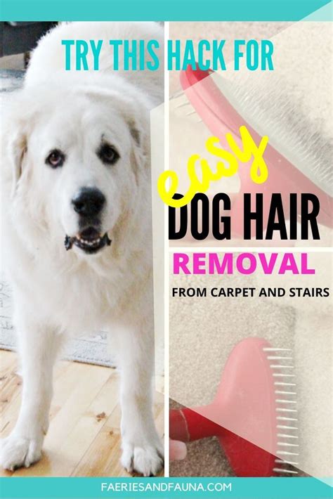 With this option, your pubic hair is shaped. Easy Way to Remove Dog Hair from Carpet and Stairs in 2020 ...