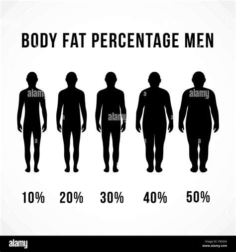 Body Fat Percentage Men Women Designs Concept Vector Diets And