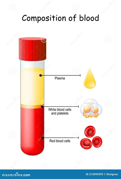 Blood Composition Vector Illustration 41211752