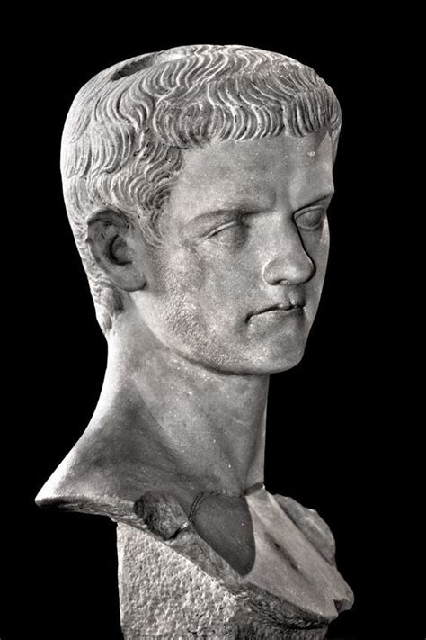 Louvre Caligula Roman History Art History Ancient Rome Ancient