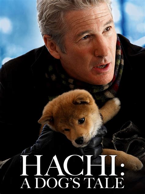 Read 'at funeral, dog mourns the death of navy seal killed in afghanistan' from our blog the lookout on yahoo! Hachiko- A Dog's Tale