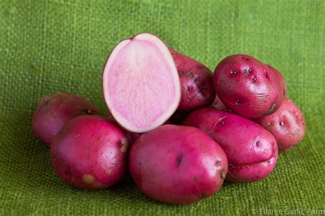Supermarket potatoes may have been exposed to pathogens, or treated to prevent sprouting, which. Organic Seed Potatoes
