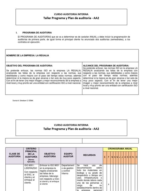 Formato Guia Para Programa Y Plan De Auditoria Auditoría Contralor