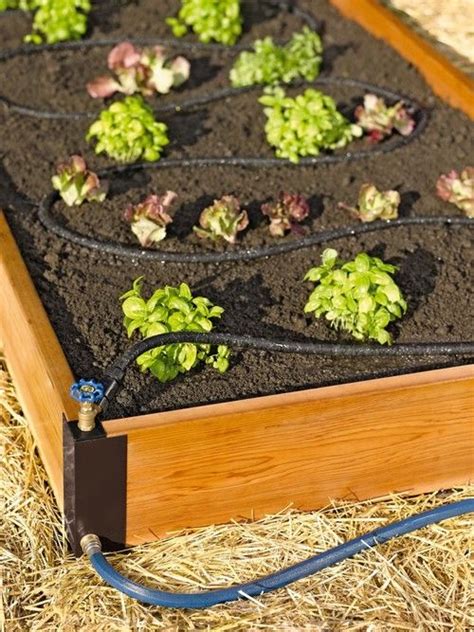 How To Irrigate Raised Garden Beds Setting Up A Garden Drip
