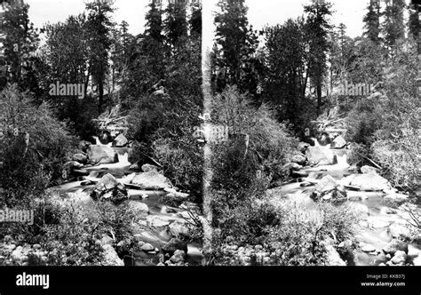 Stereograph Of Boulder Creek And The Surrounding Forest On The Aguarius
