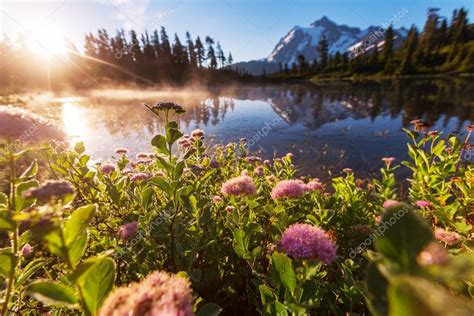 Beautiful Lake With Flowers Stock Photo By ©kamchatka 82266068