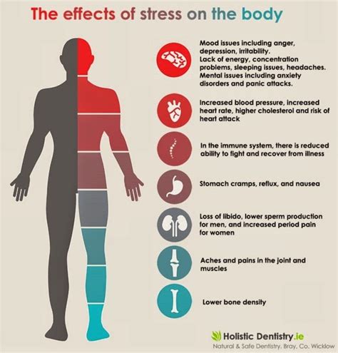 Commonly the stress is positive when you have to organize some events, you are going to plan your targets, when are performing you job, or when you have to achieve your goals. April 2015 ~ Mind Your Body