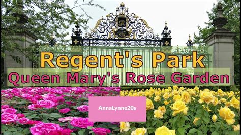 Regents Park Queen Marys Garden Royal Park English Rose Garden