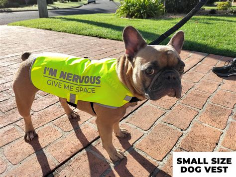 ‘im Nervous Yellow Dog Vest Small And Medium Fluropups