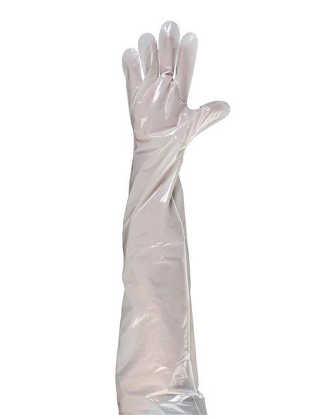 34 Shoulder Length Plastic Poly Disposable Gloves With Elastic Top
