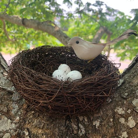 Natural Easter Premium Vine Bird Nest Large 15cm Natural Brown Ebay