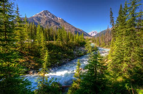 Fonds Decran Parc Canada Rivières Montagnes Forêts Vermilion Kootenay