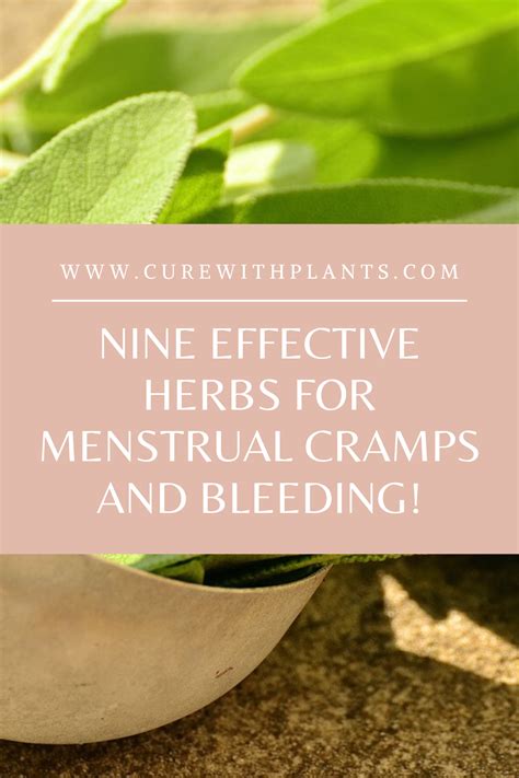 Nine Effective Herbs For Menstrual Cramps And Bleeding