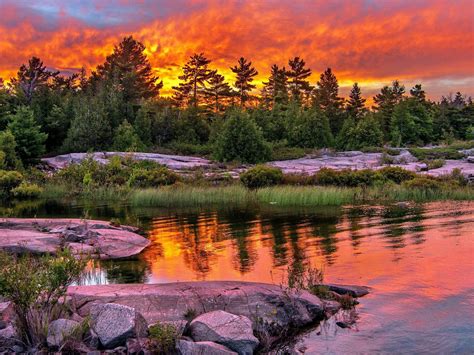Lake Sunset Red Clouds Trees Stones