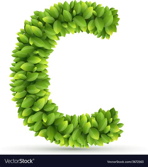 Affordable and search from millions of royalty free images, photos and vectors. Letter C alphabet of green leaves Royalty Free Vector Image
