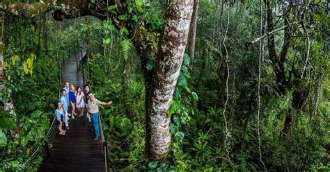 Kuranda Skyrail And Scenic Rail Day Trip With Hotel Pick Up From Cairns