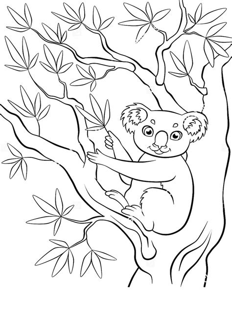 Printable Coloring Pages Koala - 104+ File for Free