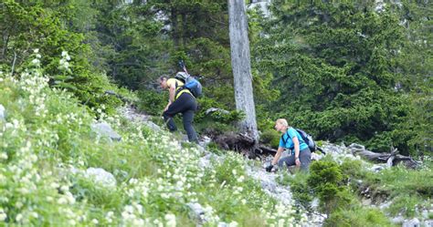 Gps Bergtour Traunstein über Den Naturfreundesteig
