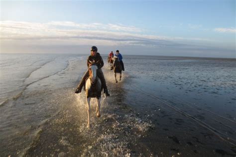 Hamburg wadden sea national park is the closest landmark to hotel hus achtern diek. Reiten | Nordsee Urlaub | Insel Neuwerk | Hus achtern Diek ...