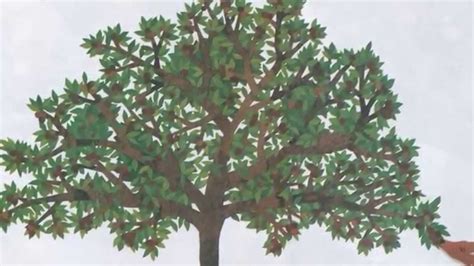 The Apple Pie Tree By Zoe Hall And Shari Halpern Grandma Annii S Storytime Youtube