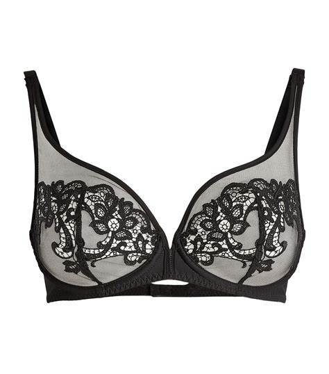 Embroidered Lace Plunge Bra