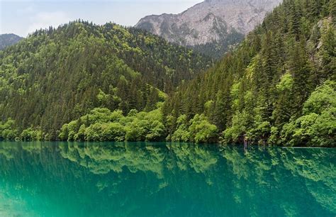 The Alpine Lakes And Waterfalls Of Jiuzhaigou Amusing Planet