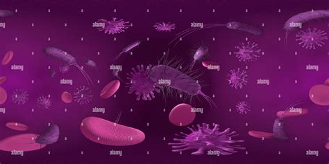 Bacteria Cell Fotografías E Imágenes De Alta Resolución Alamy
