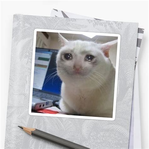 Crying Cat 1080x1080 Crying Cat Meme With Hearts ~ Meme Creation