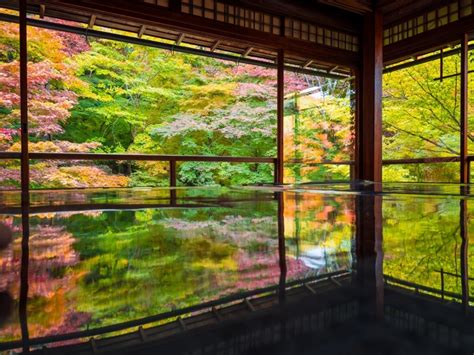 2020京都観光のおすすめスポット・名所・人気コース 京都旅行ガイド決定版 の写真（瑠璃光院）