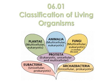Ppt 06 01 Classification Of Living Organisms Powerpoint Presentation Id 6398311