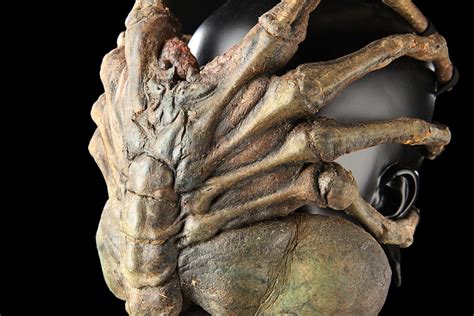 Do yourself a favor.and kill yourself.gabriel cruz (from alien) the facehugger,2 known taxonomically as manumala noxhydria. ALIEN VS. PREDATOR (2004) - Special Effects Facehugger ...