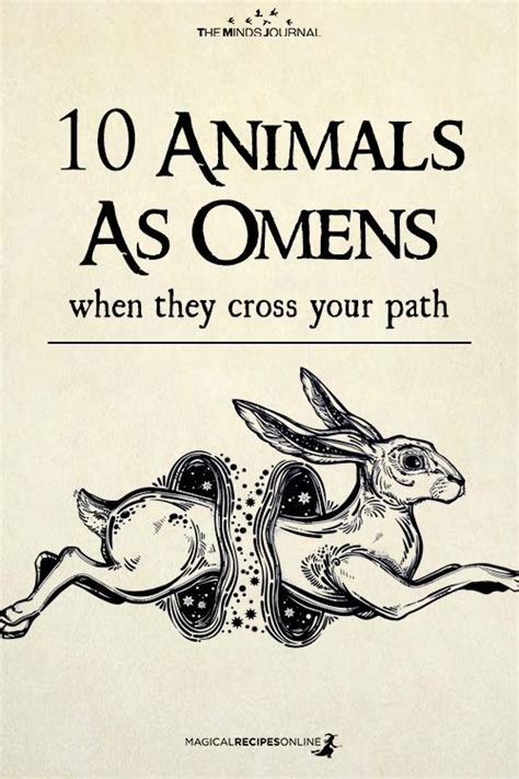 10 Animals As Omens When They Cross Your Path Animal Symbolism