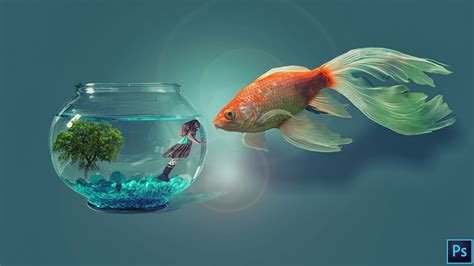 Online Crop Fish And Fish Bowl Photoshop Digital Wallpaper Digital