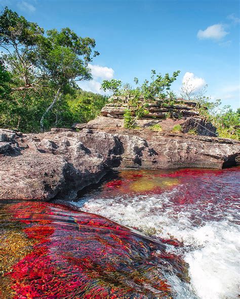 Maybe you would like to learn more about one of these? Caño Cristales: Colombia's rainbow river | get lost Magazine