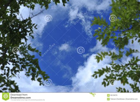 Green Leaf Of Tree On Blue Sky Cloud Background Stock Image Image Of
