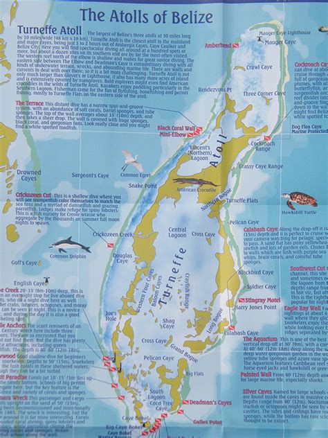 Belize Tourism Board Launches Belize Dive Map Ambergris Caye Belize
