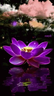 Flowers love sticker by lazy mom for ios android giphy. Water Reflection Gif GIFs | Tenor