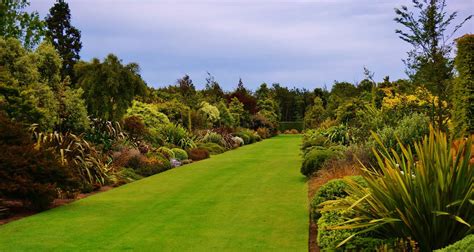 A Double Perennial Border Of New Zealand Native Plants Broadfield