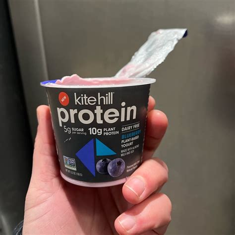 Kite Hill Protein Plant Based Yogurt Blueberry Review Abillion