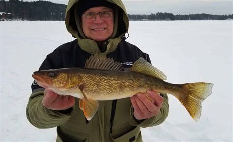 Northern Wisconsin Fishing Report Jeff Evans Anglingbuzz
