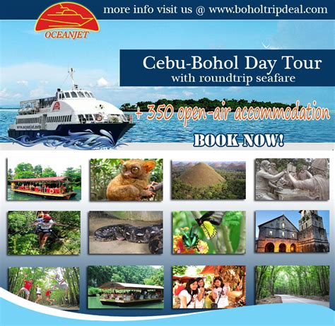 Cebu Bohol Day Tour Package With Seafare Roundtrip Bohol Countryside Tours