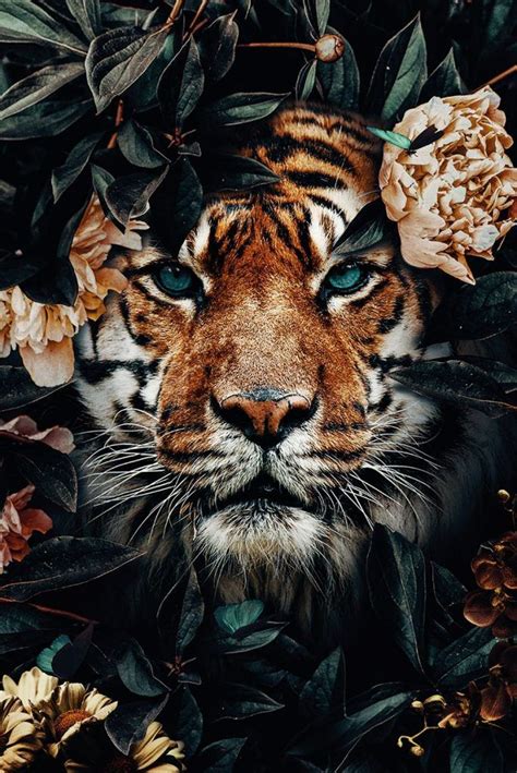 Vectorafbeelding schattige dieren achtergrond kan worden gebruikt voor persoonlijke en commerciële doeleinden in overeenstemming met de. Tijger jungle poster bestellen | Luipaard print ...
