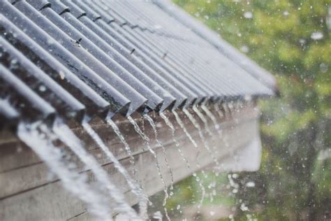 tips merawat rumah  musim hujan  tetap terlindungi rumah