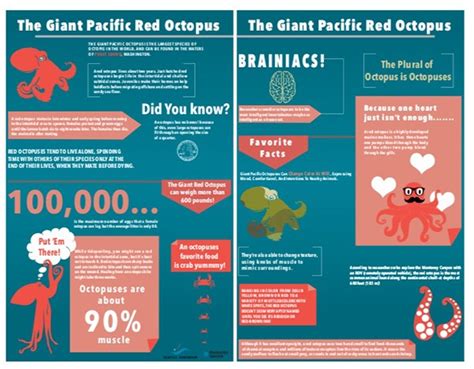 Red Octopus Infographic On Behance