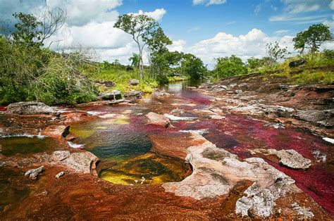 Caño Cristales Travel Guide
