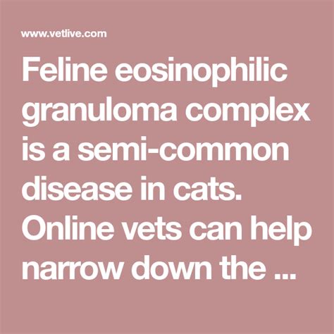 Feline Eosinophilic Granuloma Complex Is A Semi Common Disease In Cats