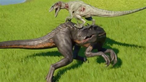 Velociraptor Max Vs Indoraptordilophosaurusdeinonychus Jurassic World Evolution Youtube